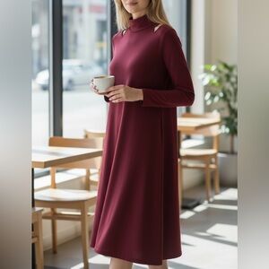 CLARA SUNWOO Burgundy Long Sleeve Dress Size Small NWOT